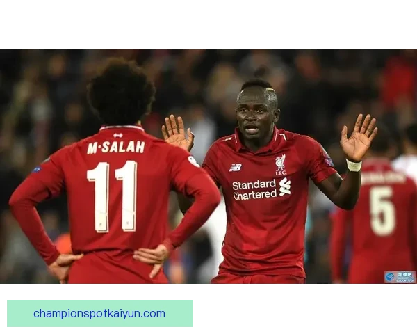 赫尔城夏季引援动作频频，多笔签约提升阵容深度